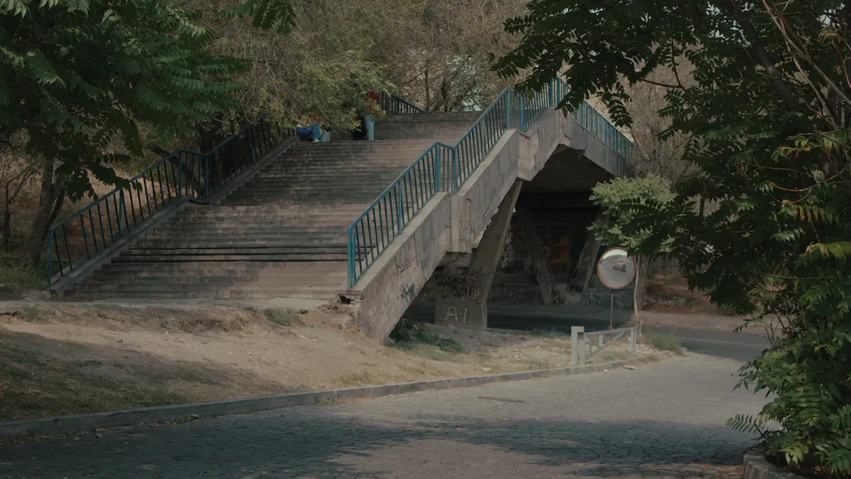 Concrete footbridge stairs among trees